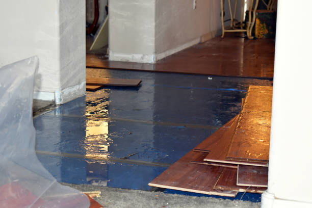Professional Sewage Cleanup technician working in Wellington, MO