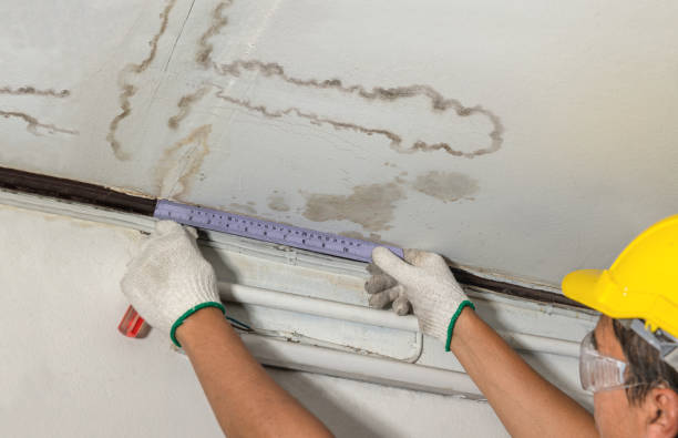 Reliable Sewage Cleanup contractor in Wellington, MO by Water Damage Irwin